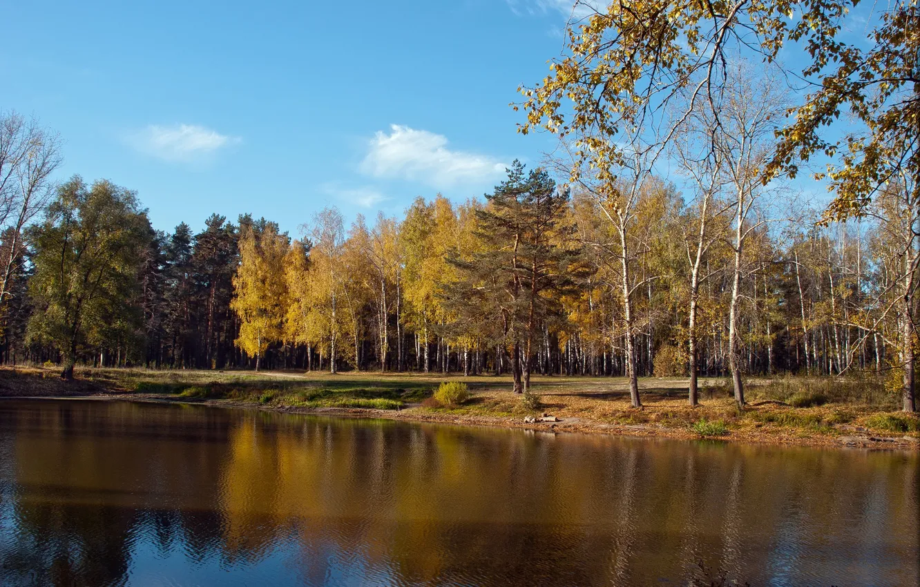 Photo wallpaper autumn, forest, lake, blue sky, light clouds