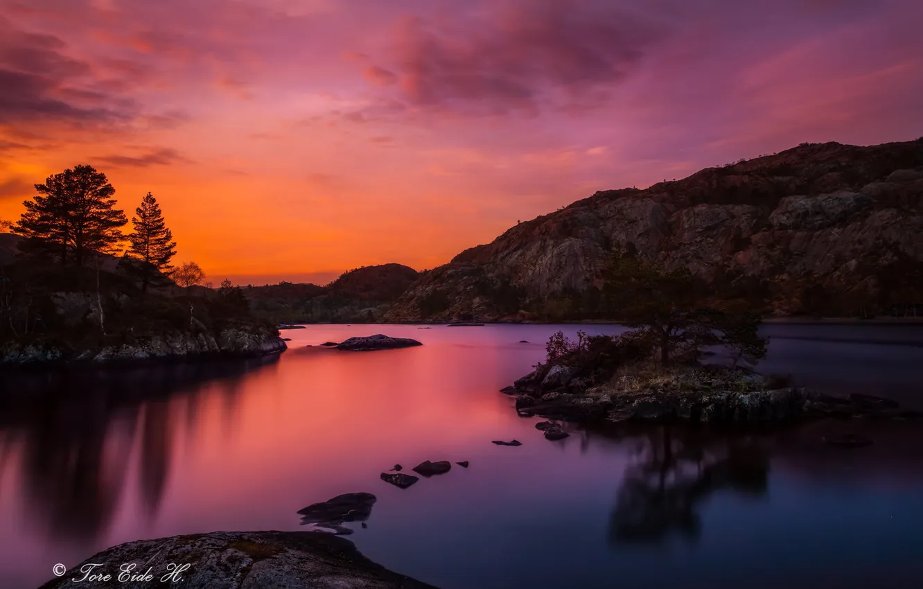 Photo wallpaper trees, sunset, nature, lake