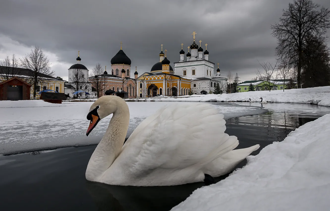 Photo wallpaper winter, snow, bird, temple, Swan, the monastery, pond, Davidova Pustyn