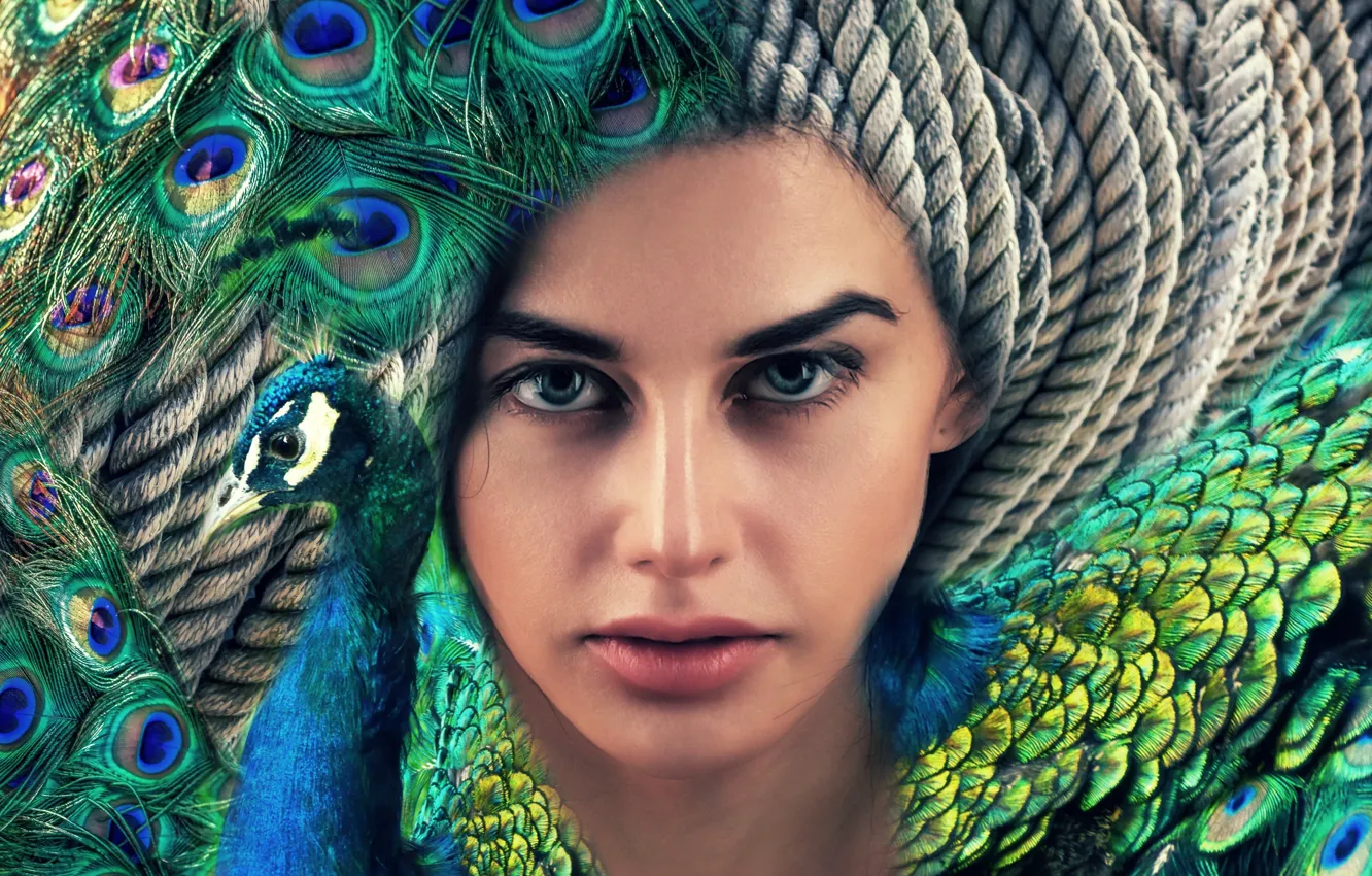 Photo wallpaper look, girl, face, rendering, collage, bird, portrait, feathers