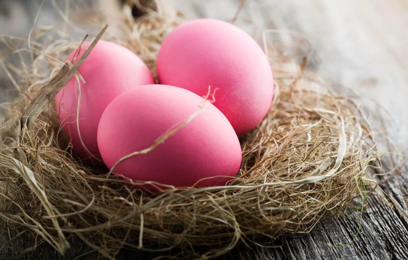 Photo wallpaper holiday, eggs, Easter, socket