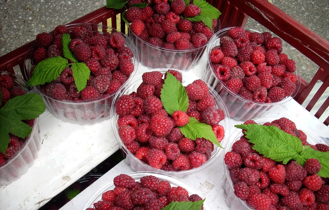 Photo wallpaper berries, raspberry, wood