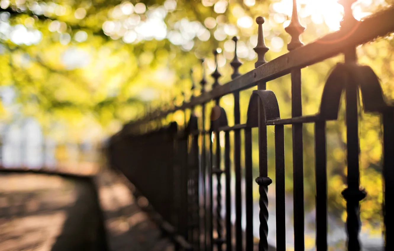 Photo wallpaper macro, trees, background, Wallpaper, the fence, blur, the fence, wallpaper