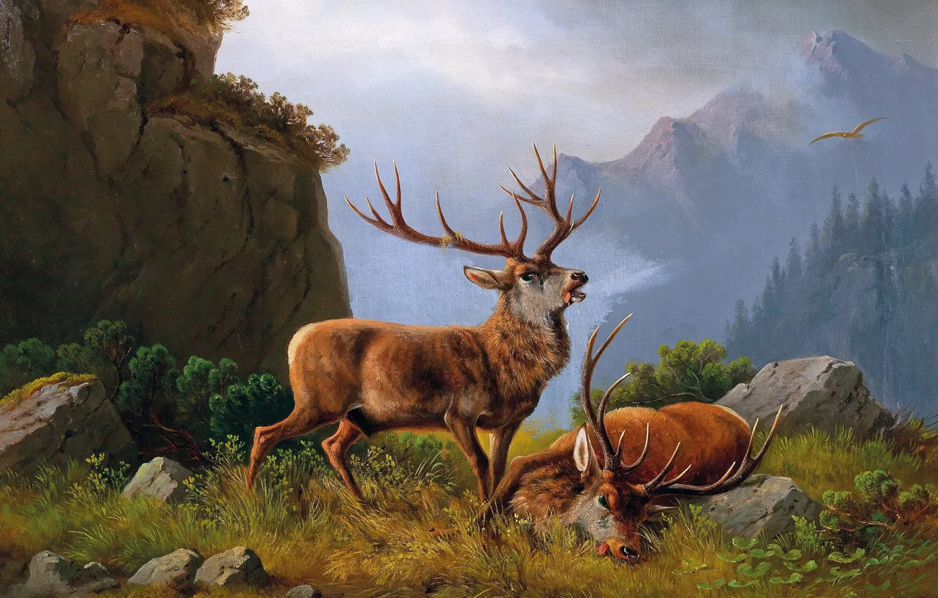 Photo wallpaper mountains, picture, deer, horns, two, after the fight, German animal painter, Moritz Muller