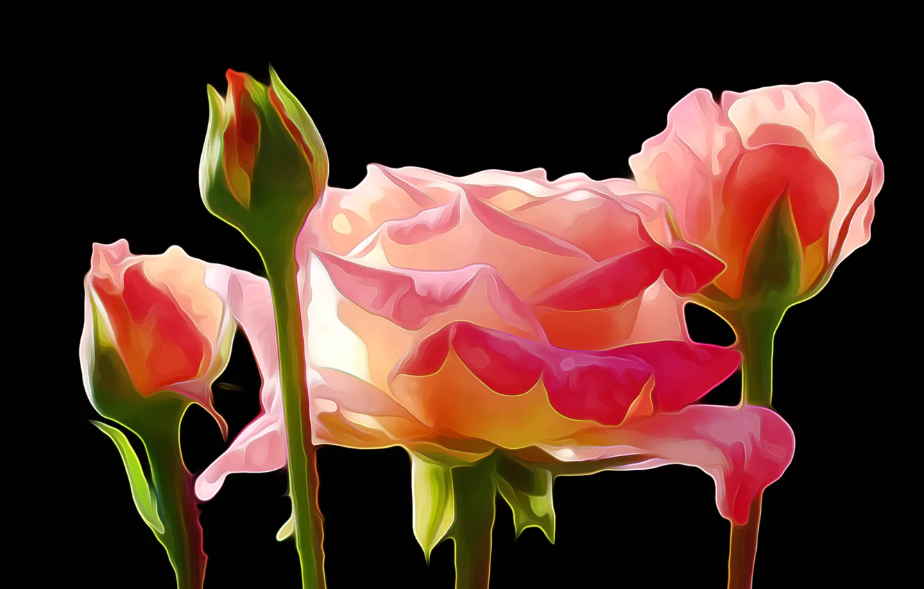 Photo wallpaper rendering, figure, rose, vector, petals, Bud