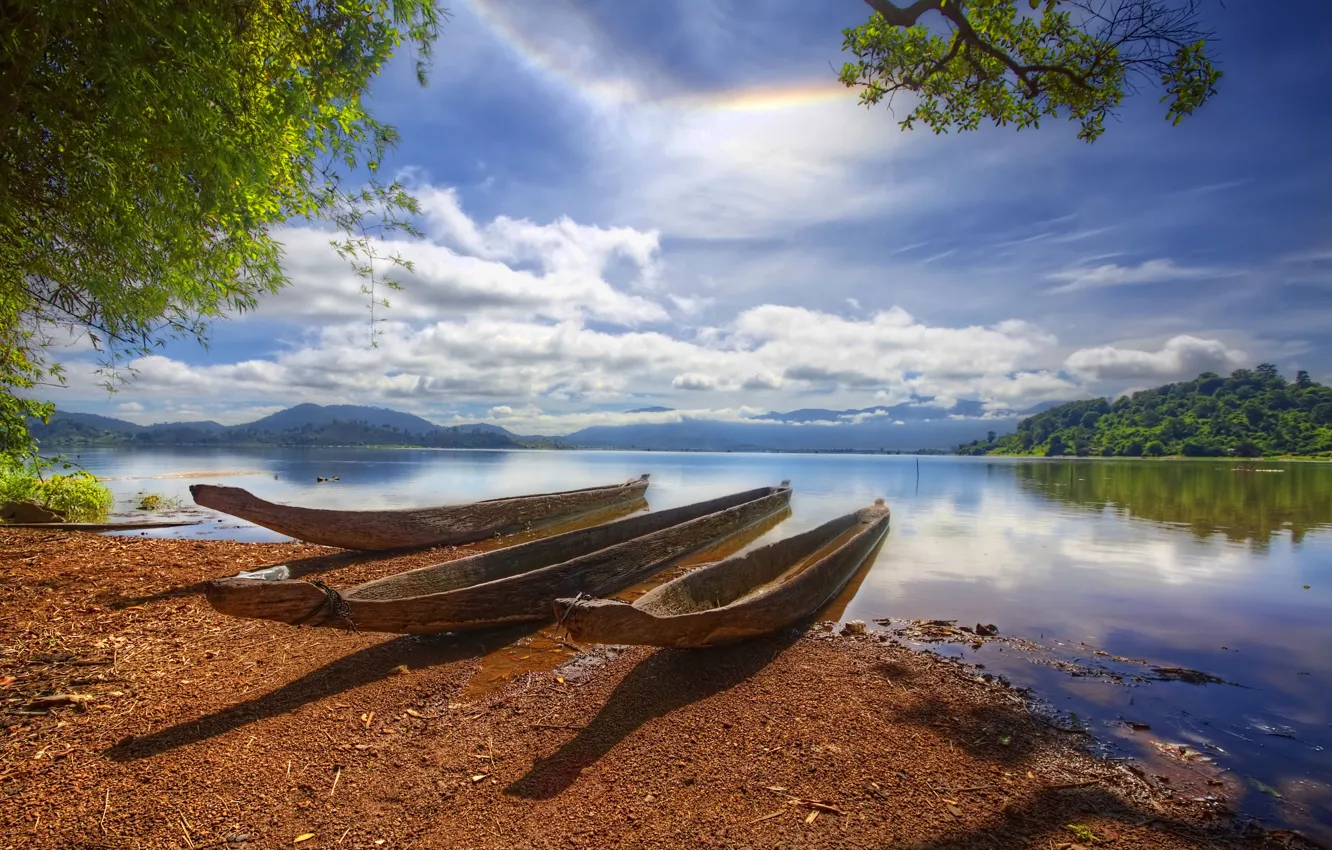 Photo wallpaper boats, three, pond, trunks