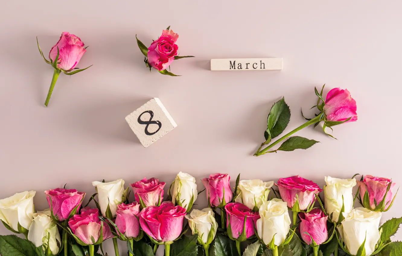 Photo wallpaper flowers, roses, figure, happy, March 8, pink, flowers, spring