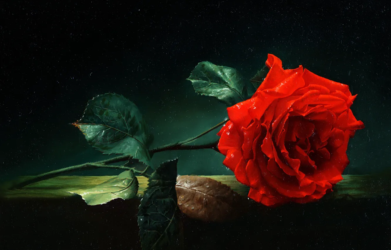 Photo wallpaper oil, Alexei Antonov, "Rose"