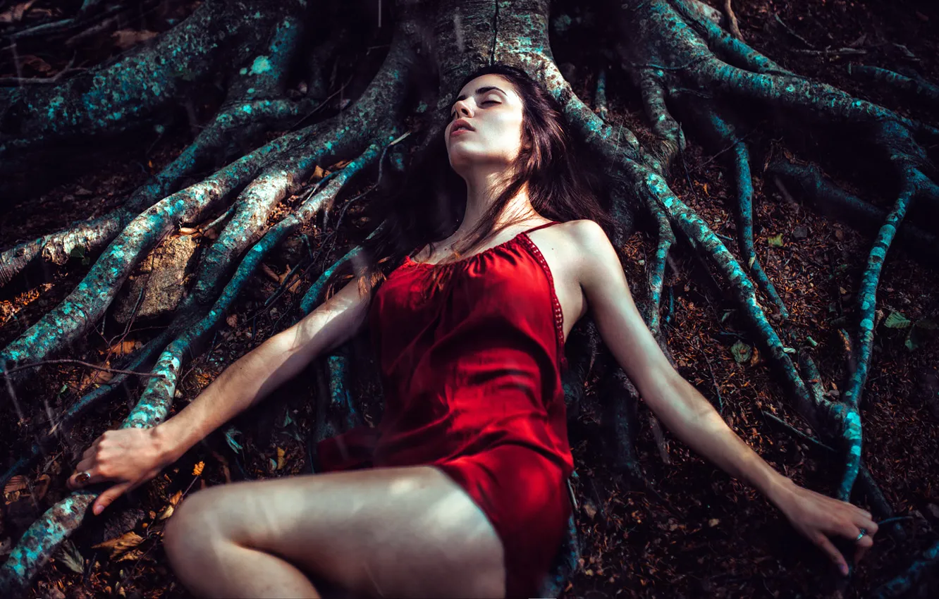 Photo wallpaper forest, girl, roots, tree, stay, sleep, The moon