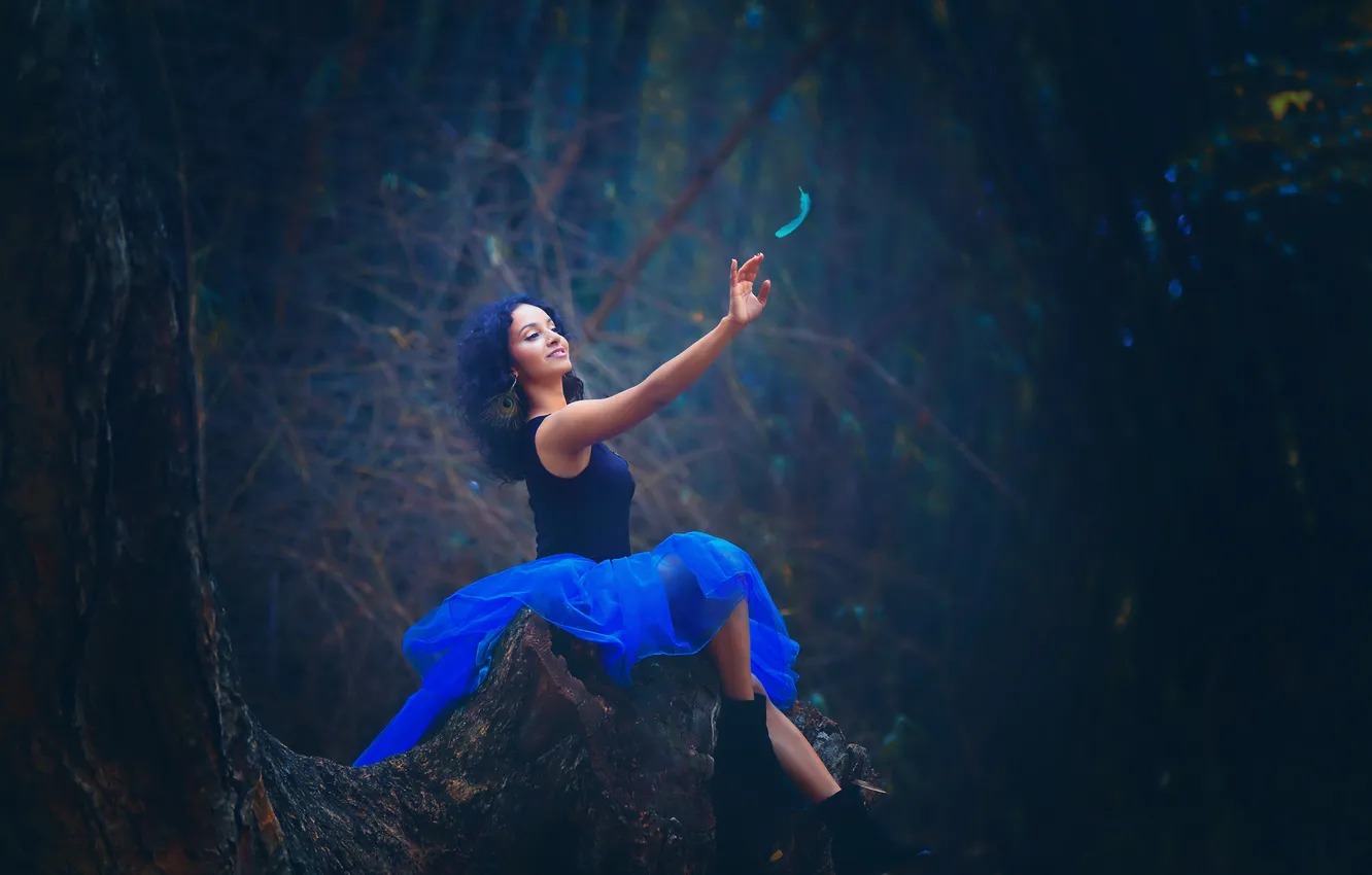 Photo wallpaper forest, girl, stump, feathers