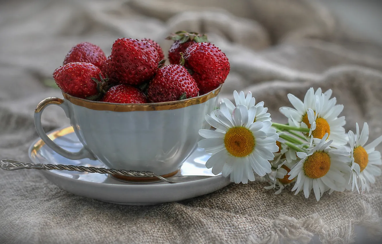 Photo wallpaper chamomile, strawberry, Cup