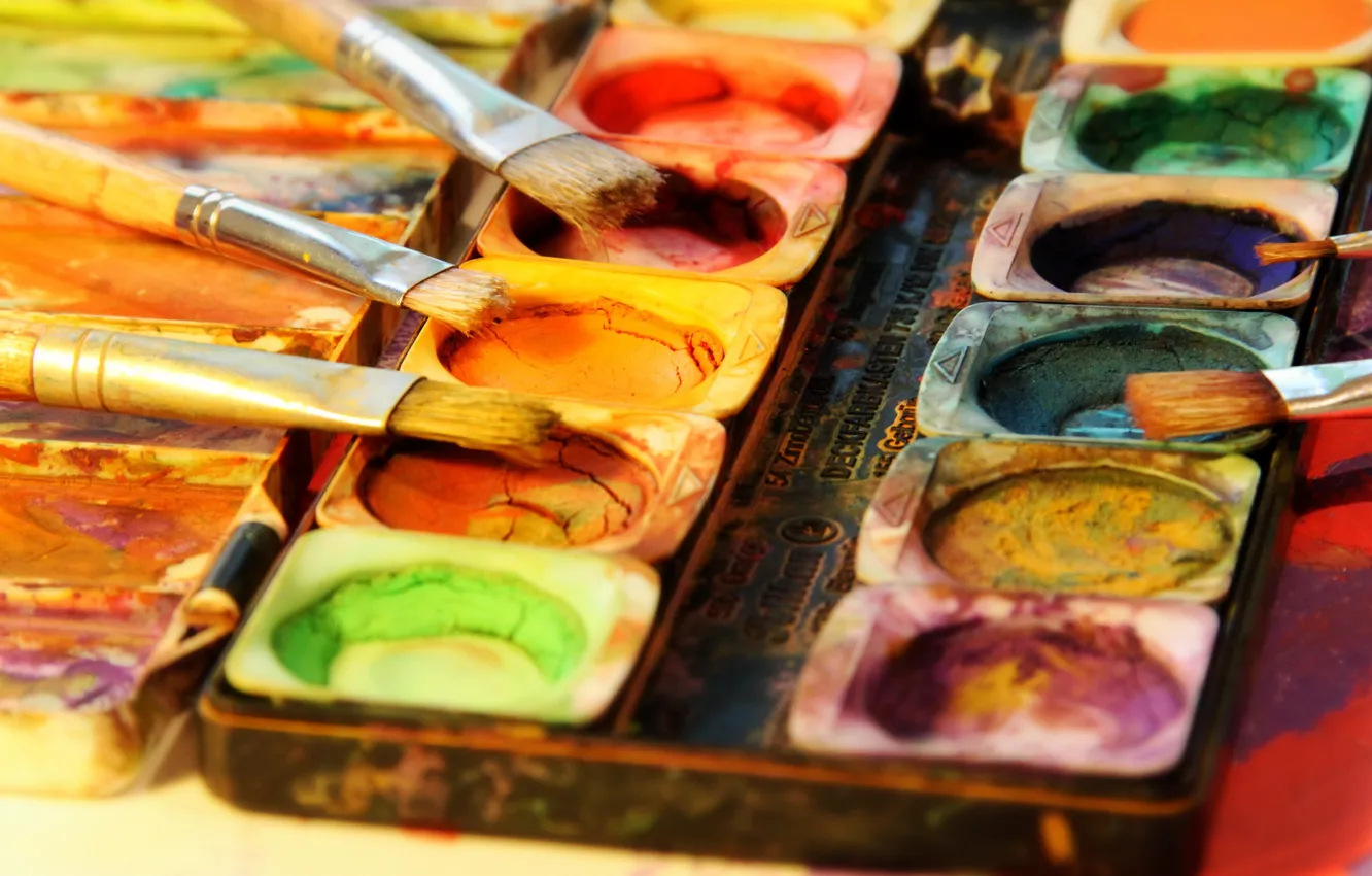 Photo wallpaper macro, paint, brush