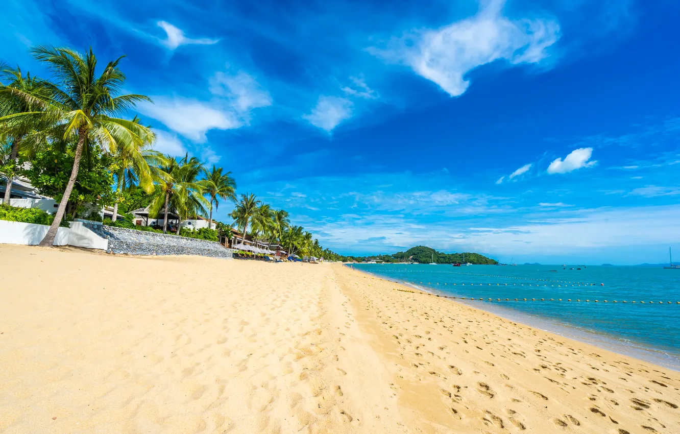 Photo wallpaper sand, sea, beach, summer, the sky, palm trees, summer, beach