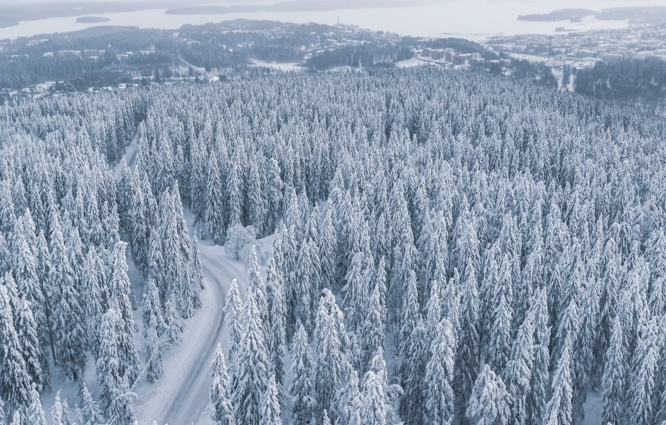 Photo wallpaper winter, road, forest, the sky, snow, nature, the city, view