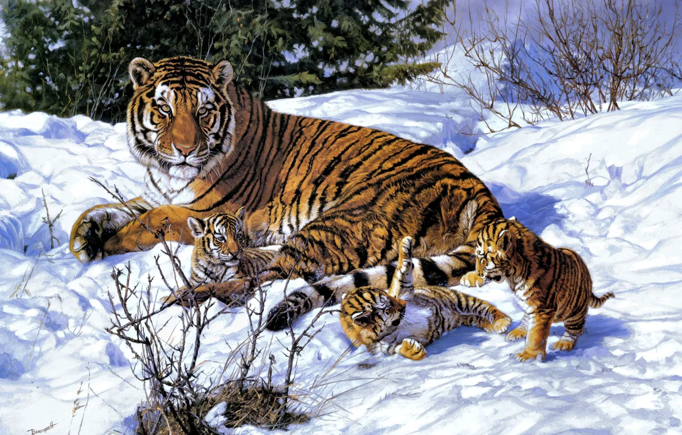 Photo wallpaper winter, snow, art, tigers, tigress, the cubs, John Banovich