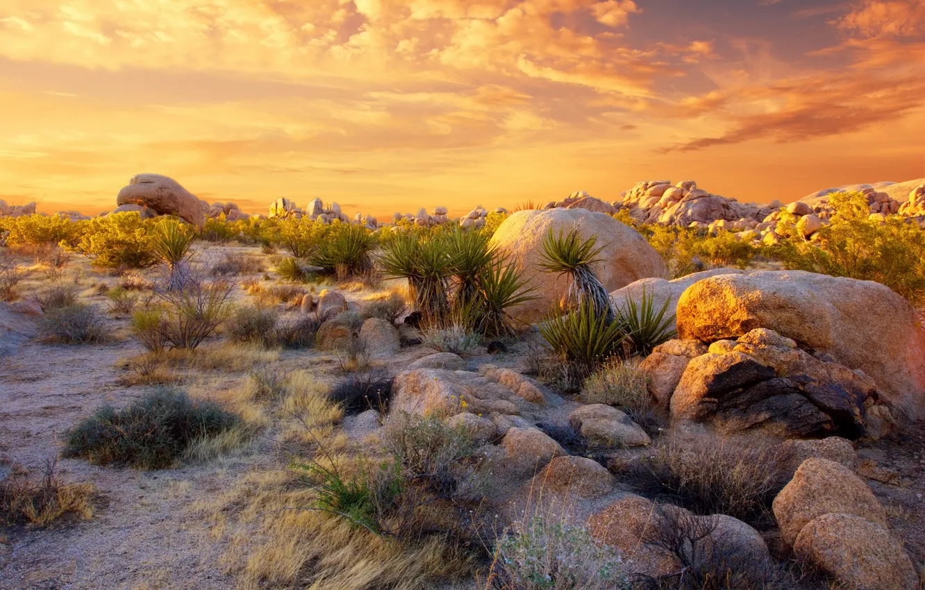 Photo wallpaper grass, clouds, stones, dawn, boulders