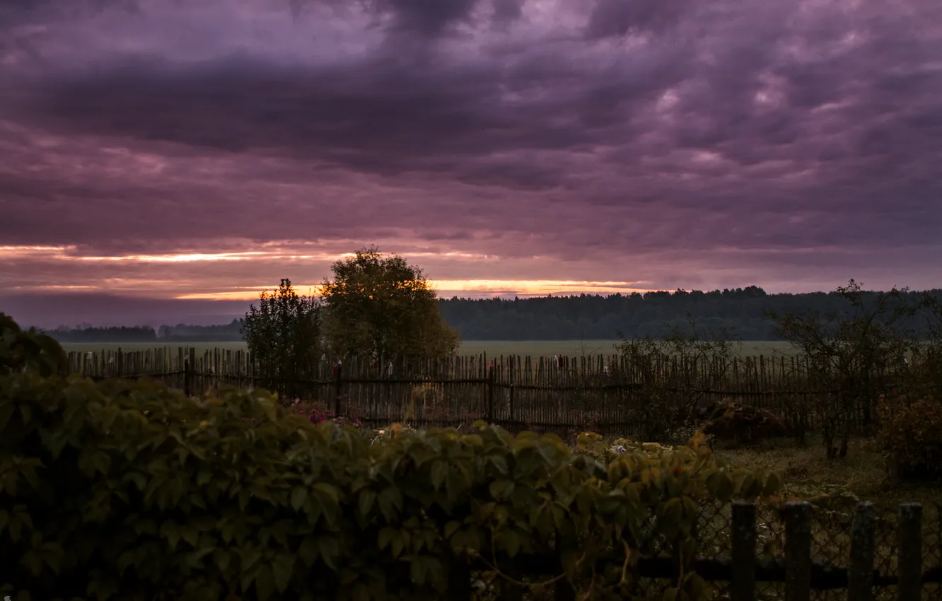Photo wallpaper forest, the sky, the sun, clouds, dawn, village