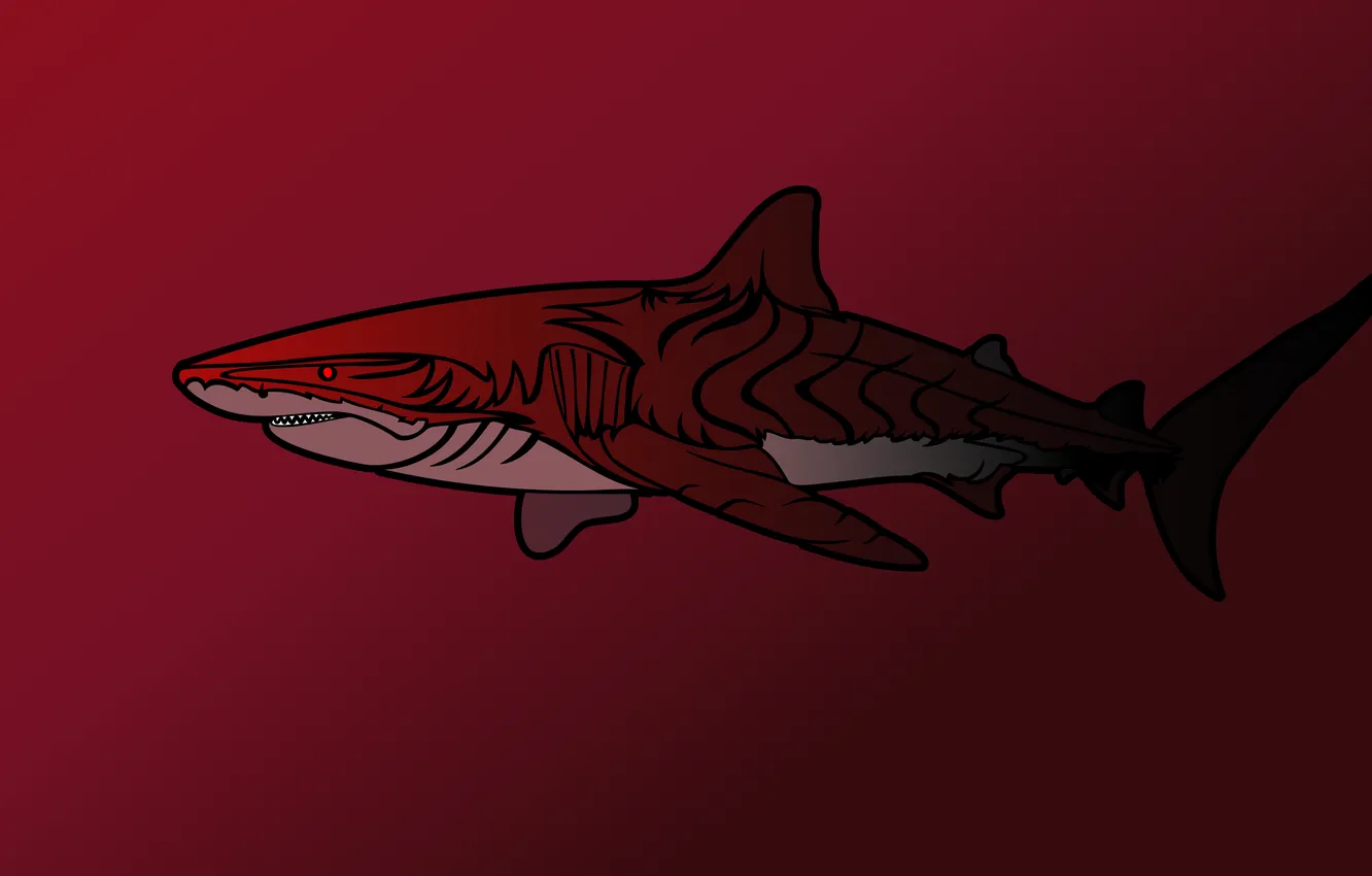 Photo wallpaper shark, art, Minimalism