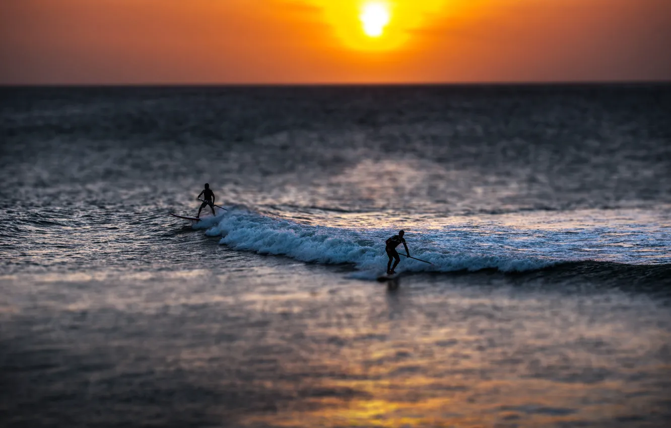 Photo wallpaper the sun, wave, horizon, surfing