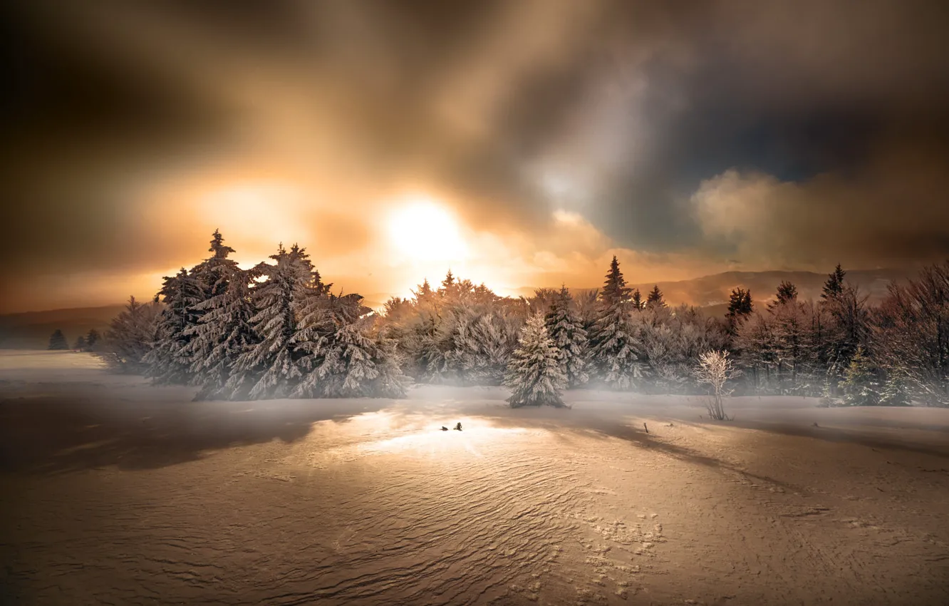 Photo wallpaper winter, field, forest, the sky, the sun, clouds, light, snow