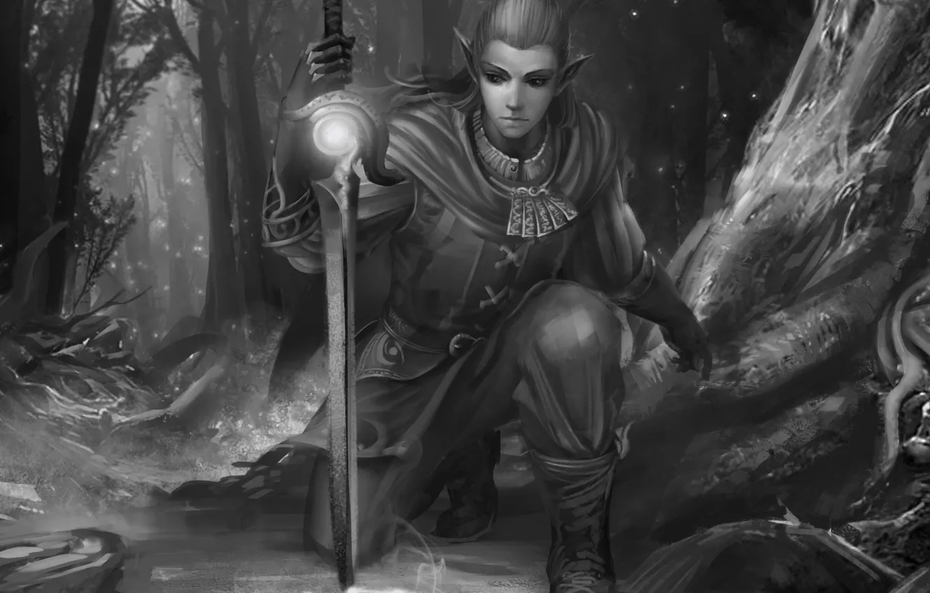 Photo wallpaper forest, elf, figure, sword, black and white, guy, monochrome