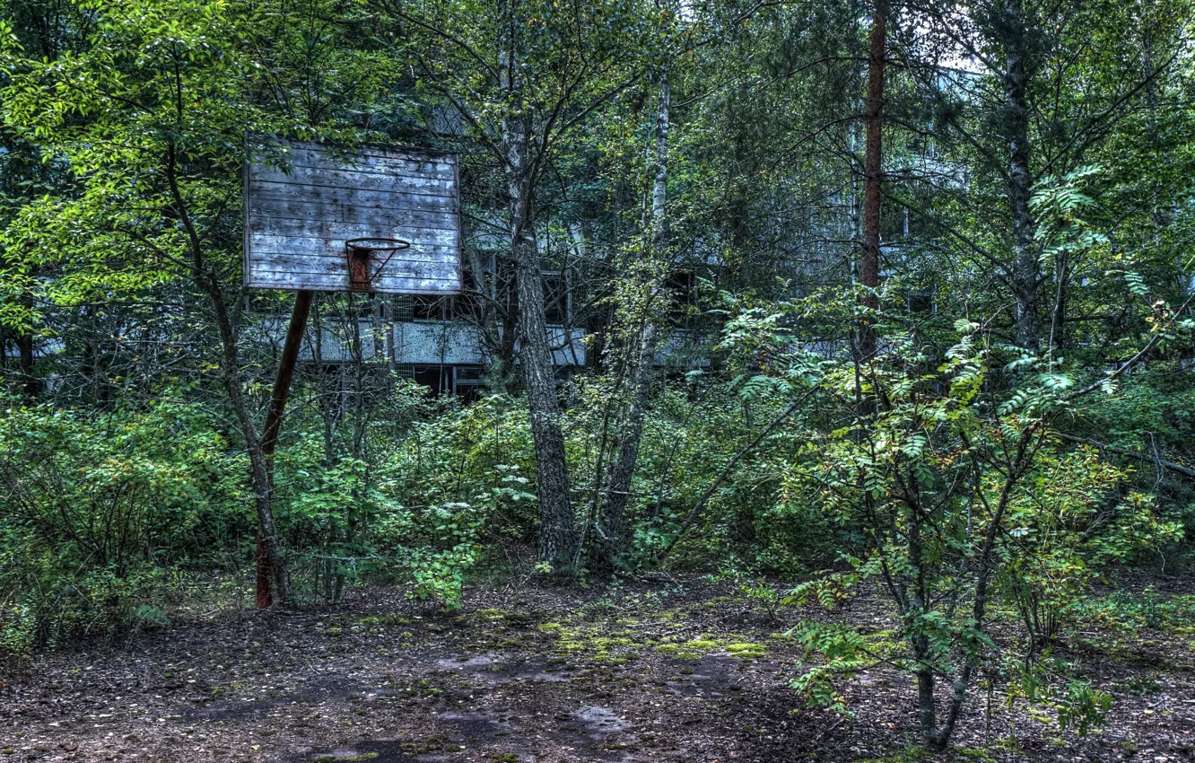 Photo wallpaper sport, Basketball, Playground