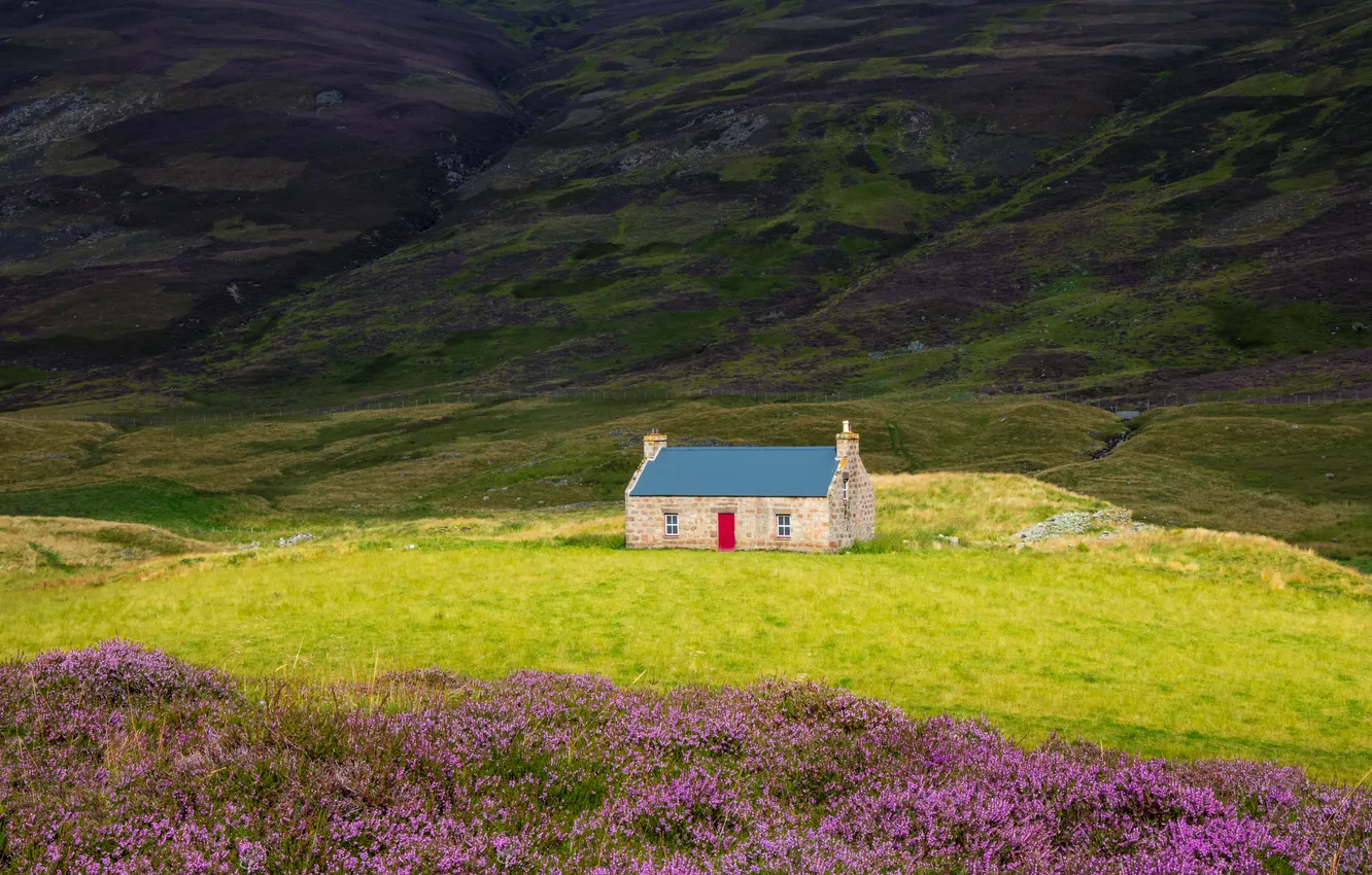 Photo wallpaper field, flowers, mountains, slope, meadow, house