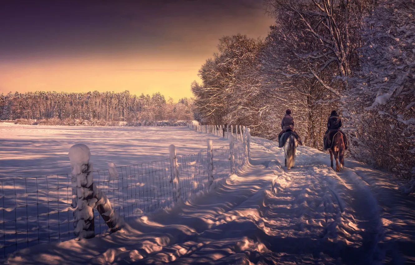 Photo wallpaper winter, snow, treatment, horse ride