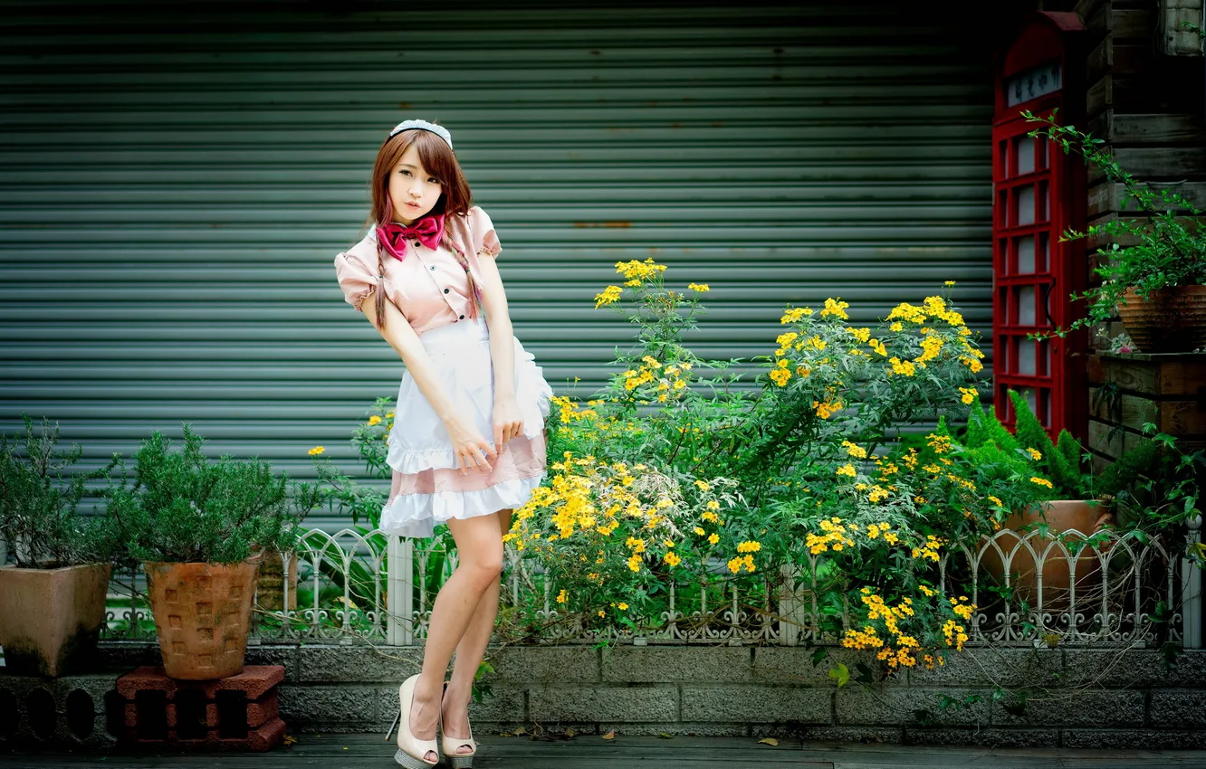 Photo wallpaper look, girl, Asian