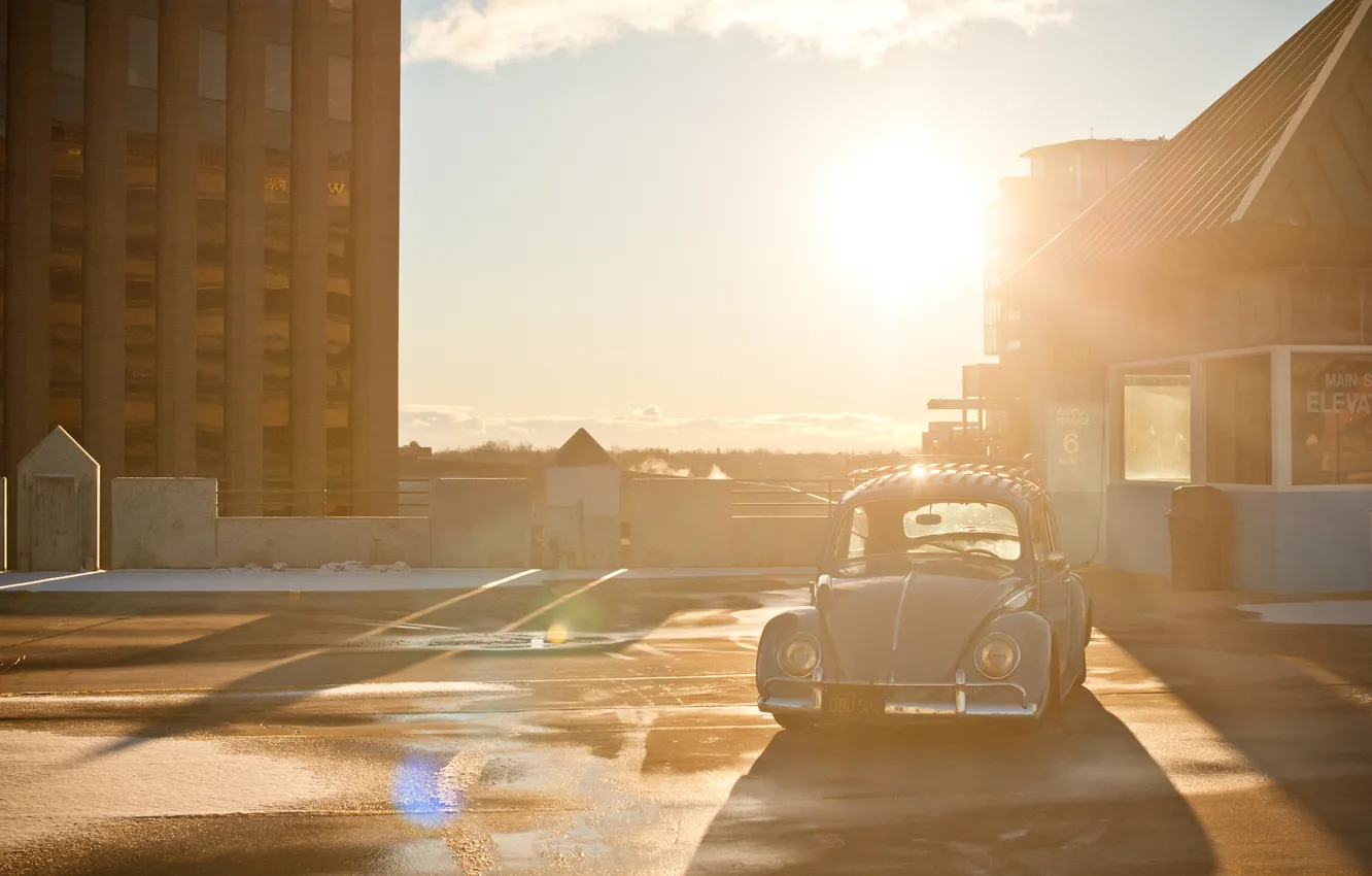 Photo wallpaper the sun, rays, light, beetle, Volkswagen, cars, old, cars