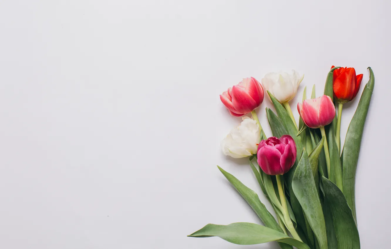 Photo wallpaper flowers, bouquet, colorful, tulips, wood, pink, flowers, romantic
