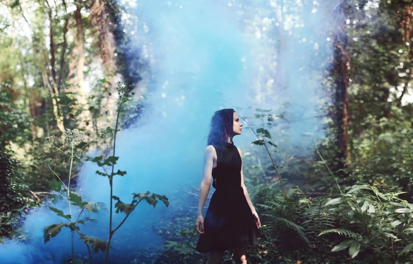 Photo wallpaper forest, girl, fog, dress