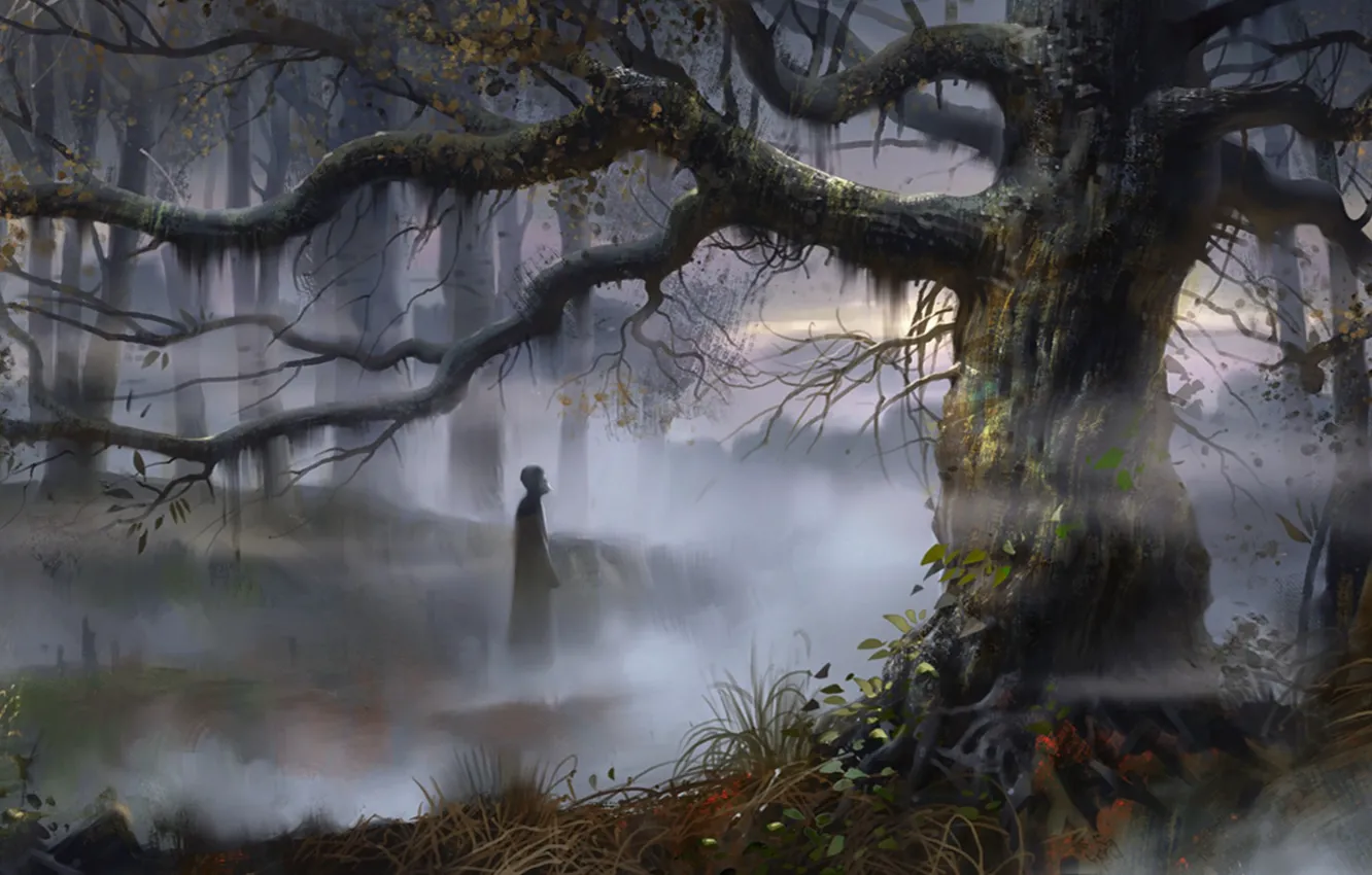 Photo wallpaper forest, trees, fog, people, art, swamp, Russia