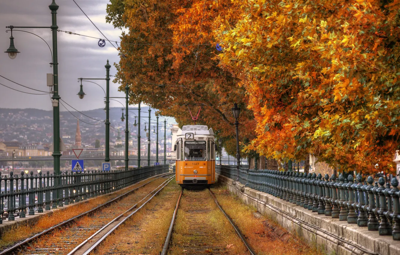 Photo wallpaper autumn, Park, rails, tram, Marco Squassina