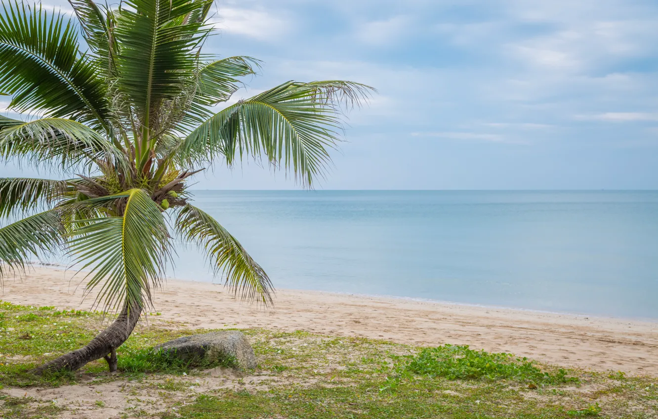 Photo wallpaper sand, sea, beach, summer, the sky, the sun, palm trees, shore