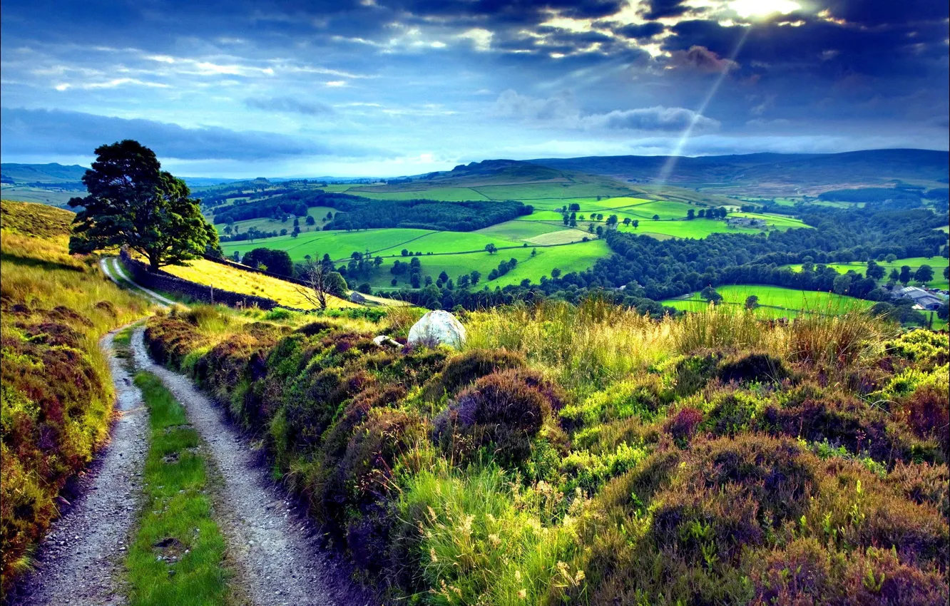 Photo wallpaper road, field, nature, hills, landscape