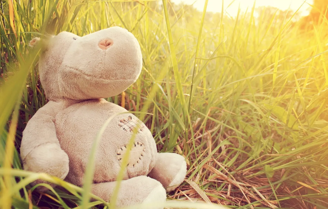 Photo wallpaper grass, toy, Hippo