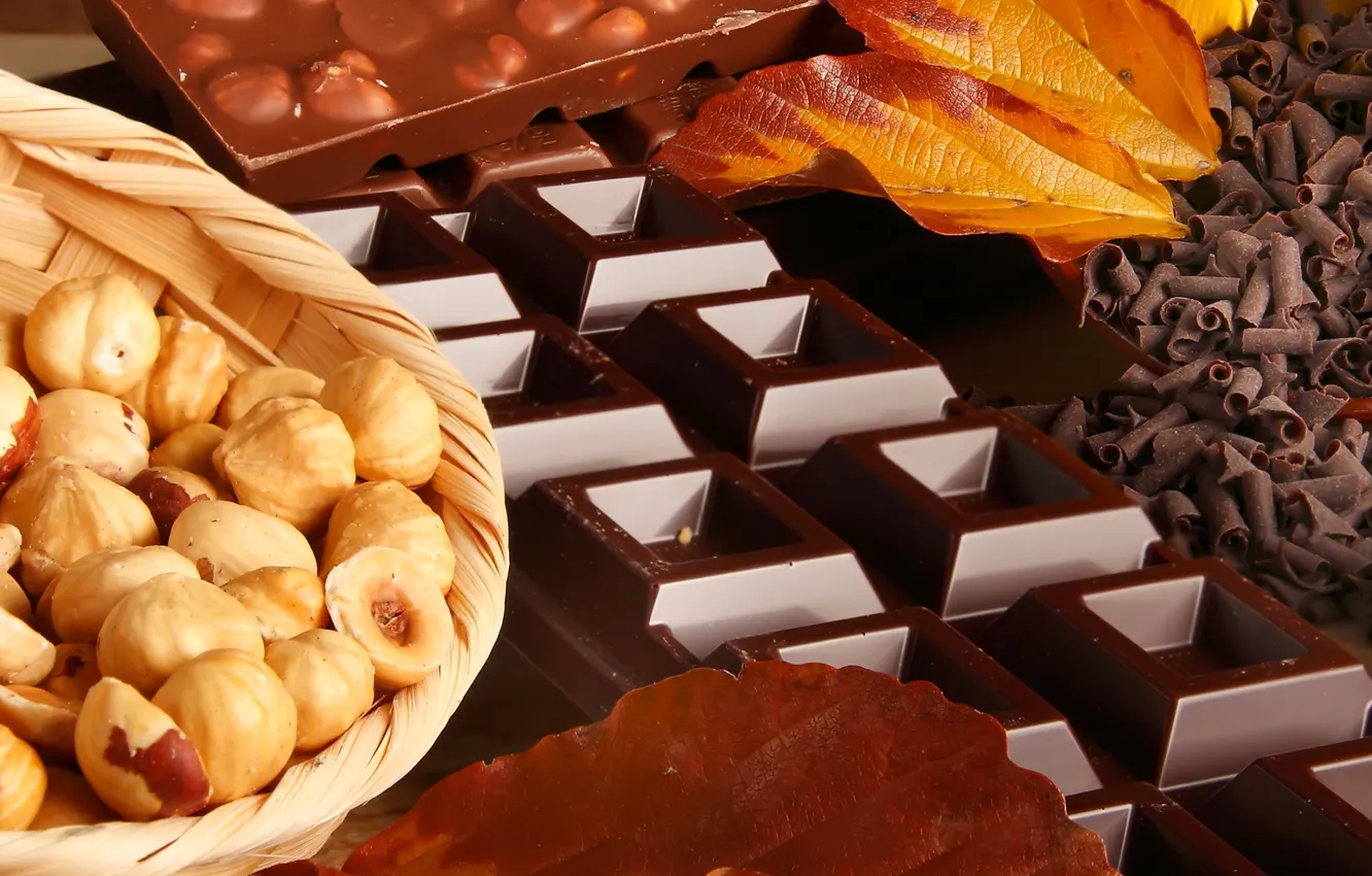 Photo wallpaper chocolate, nuts, chocolate, nuts, chocolate chips, yellow leaves, chocolate crumb, yellow leaves