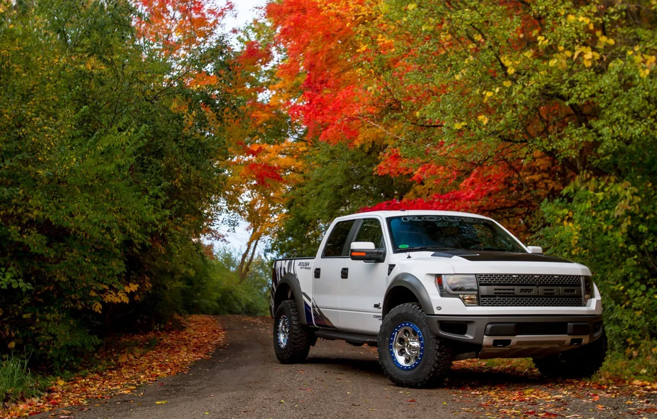 Photo wallpaper tuning, Ford, car, Ford, F-150, powerful, SVT Raptor, Roush