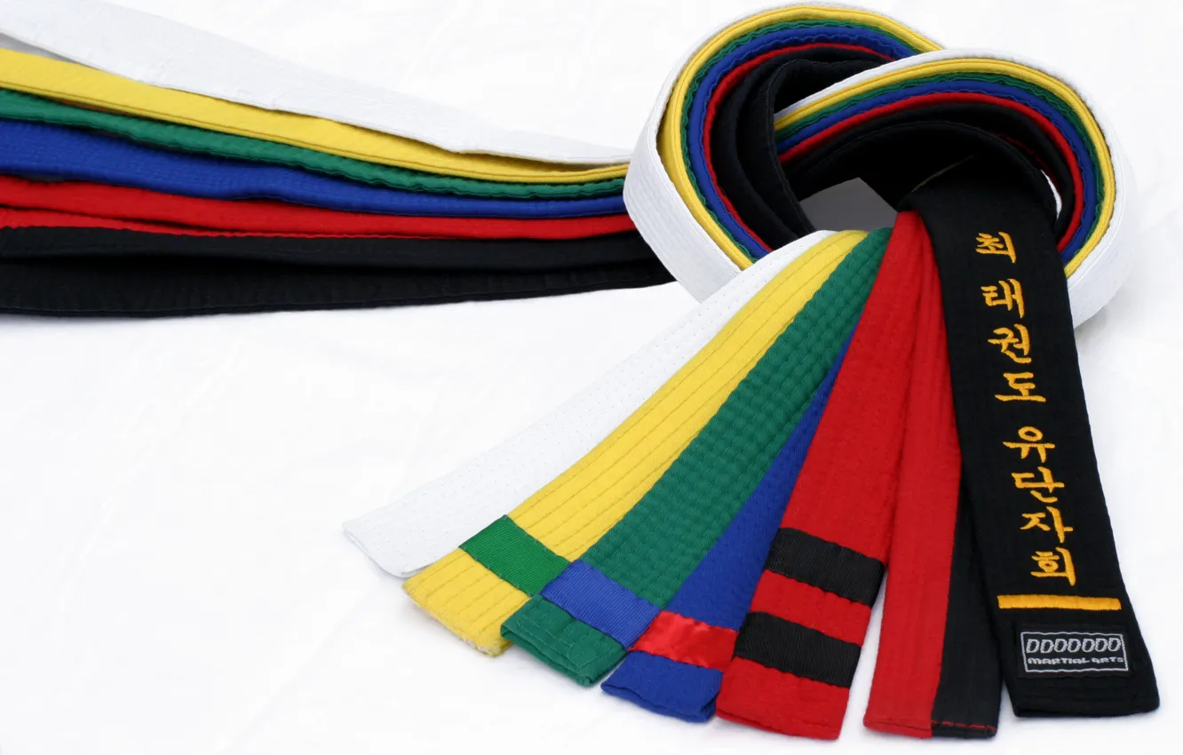 Photo wallpaper the sun, color, spirit, Master, belt, stage, is, all