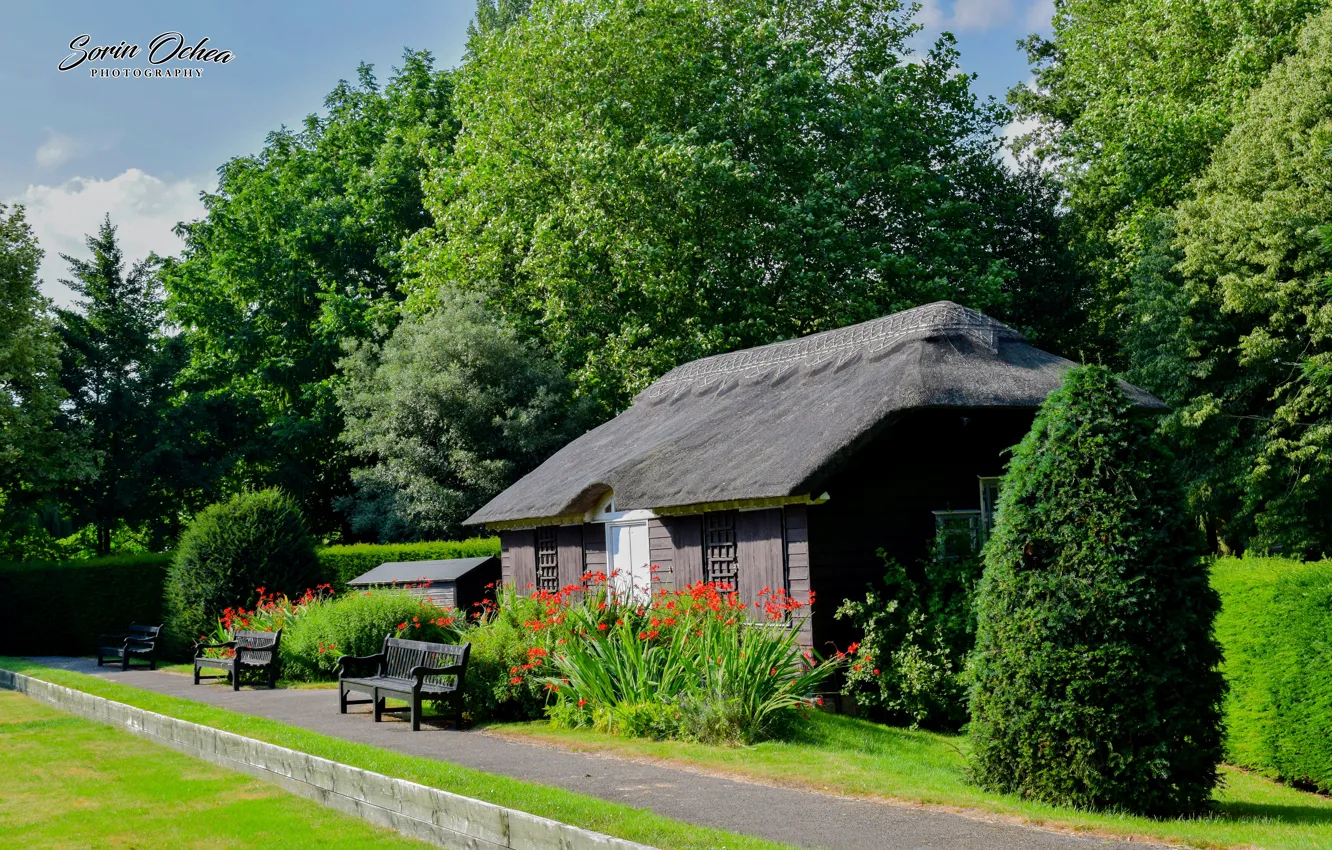 Photo wallpaper house, village, grass, bungalow, Old house