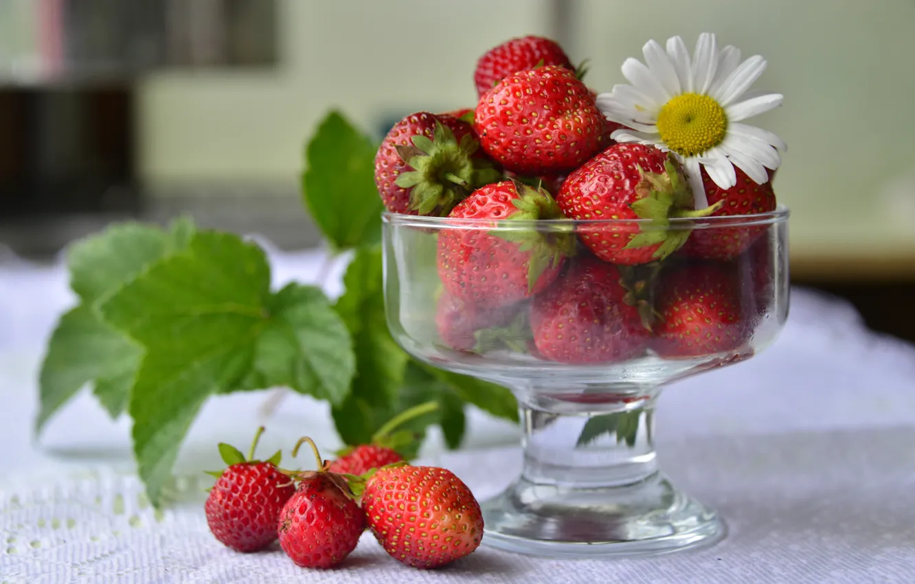 Photo wallpaper red, berries, chamomile, strawberry, vase