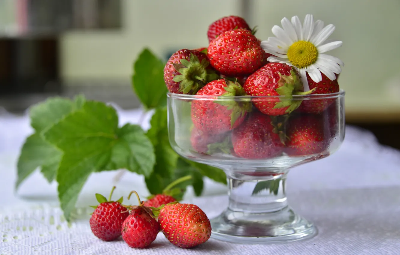 Photo wallpaper red, berries, Daisy, strawberry, vase