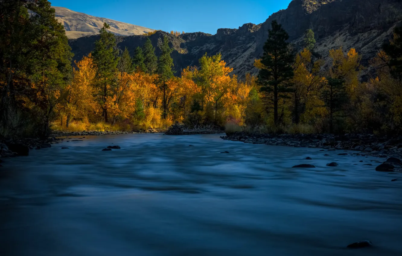 Photo wallpaper autumn, trees, mountains, river, Washington State, Washington, Forit River, River Bouffant