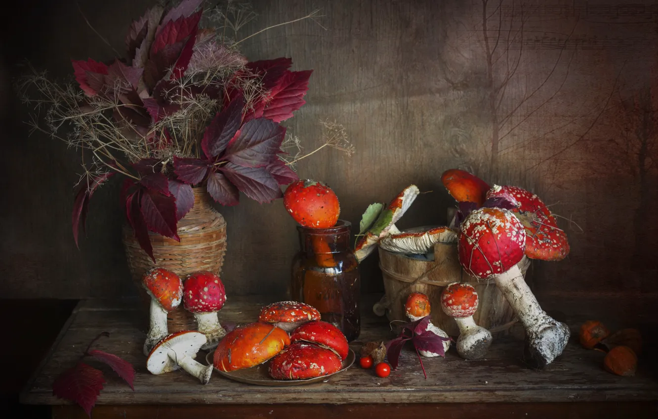 Photo wallpaper mushrooms, mushroom, still life