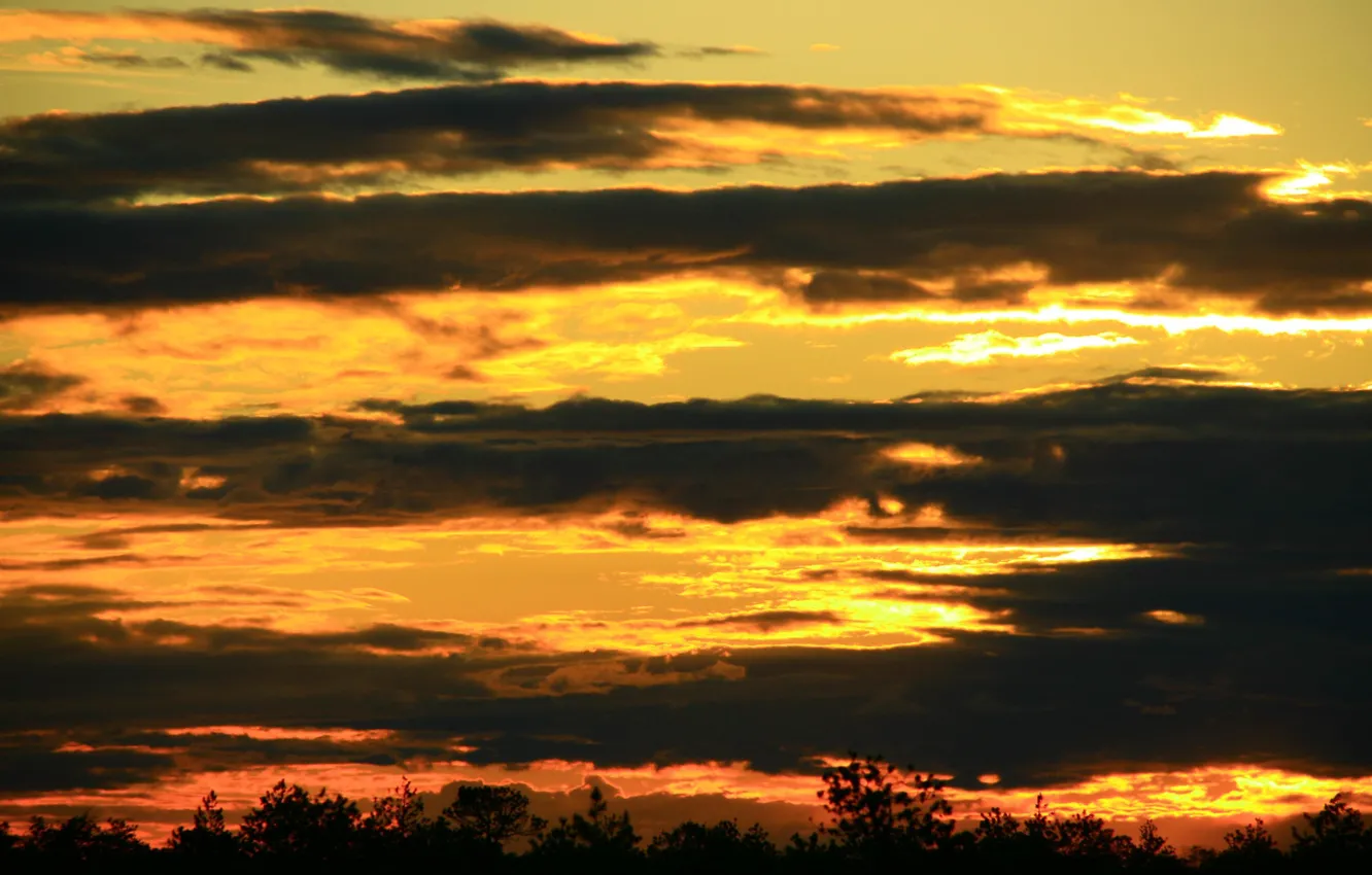 Photo wallpaper the sky, landscape, nature