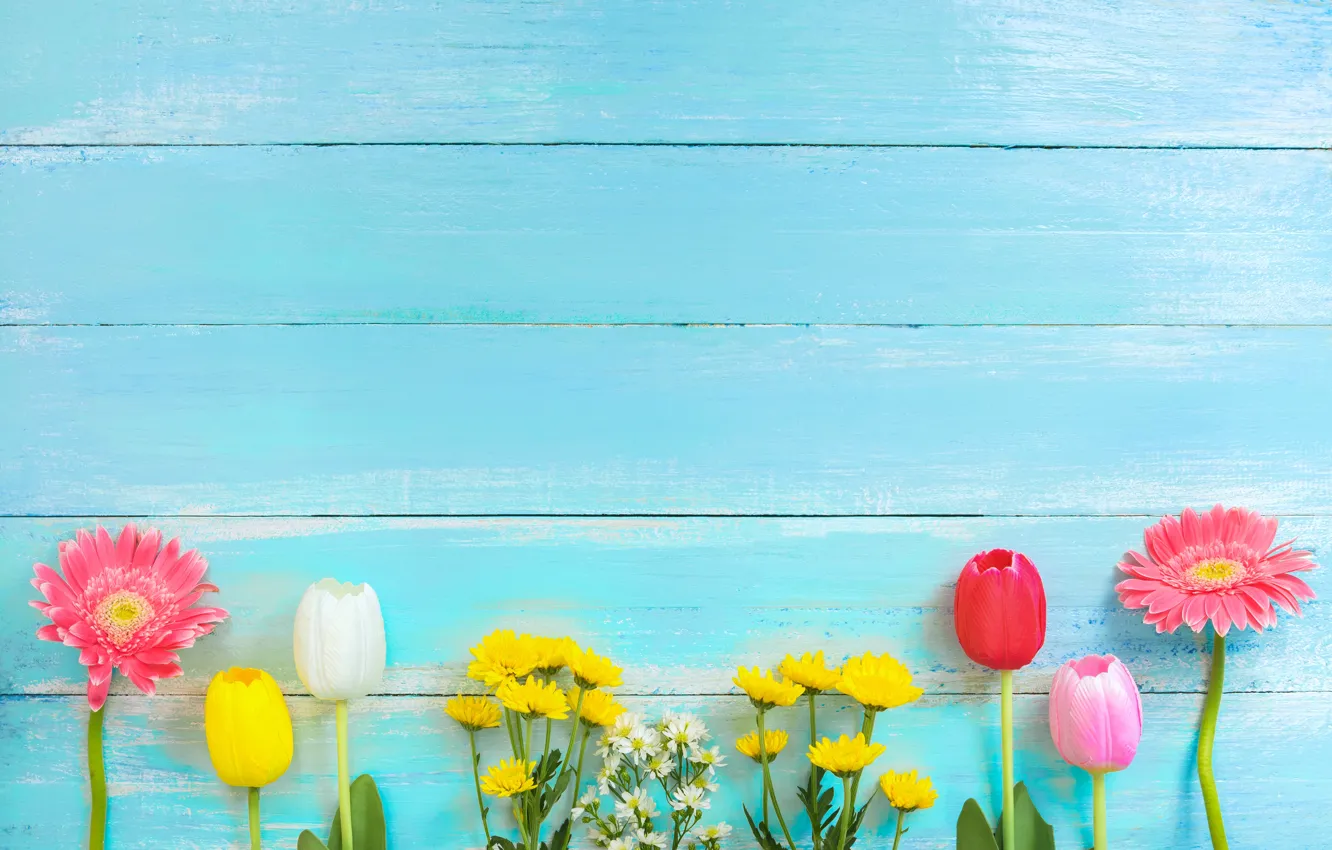 Photo wallpaper flowers, spring, colorful, tulips, gerbera, chrysanthemum, wood, flowers