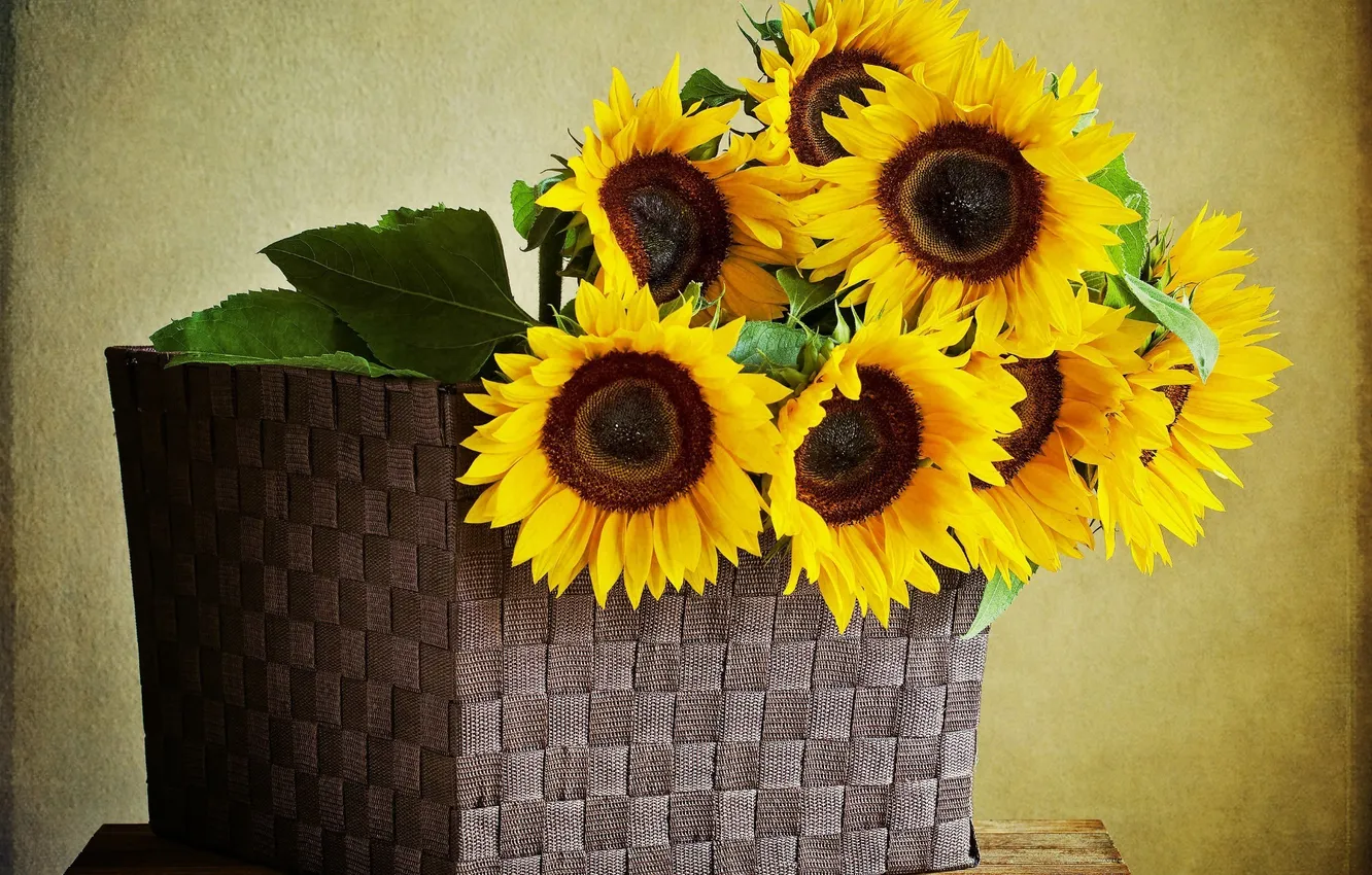 Photo wallpaper leaves, sunflowers, yellow, basket