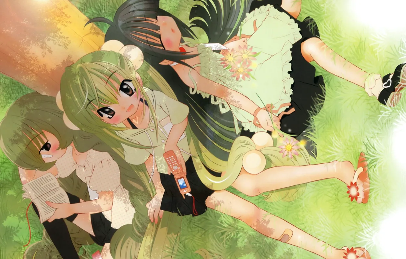 Photo wallpaper grass, girl, book, phone, long hair, friend