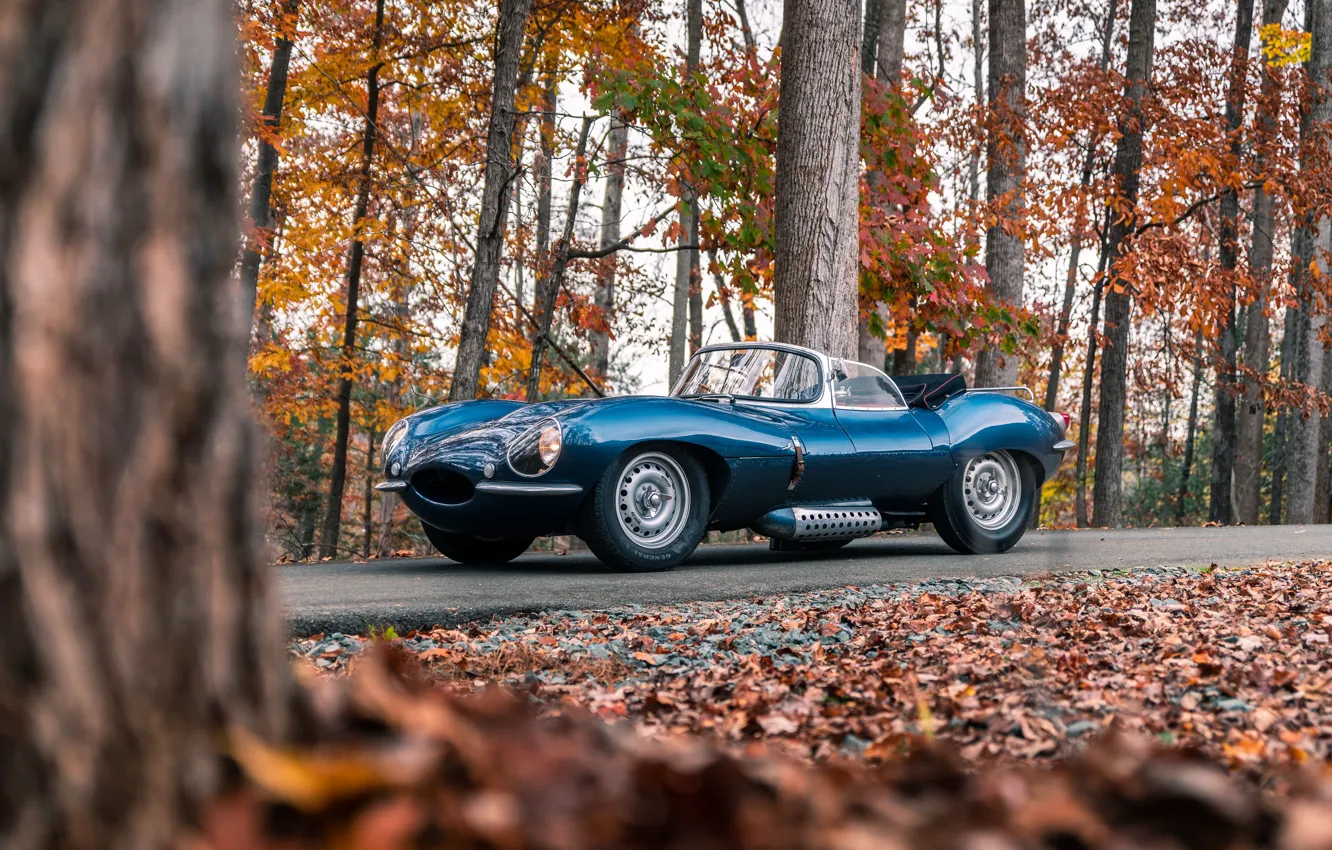 Photo wallpaper Jaguar, roadster, 1957, XKSS, Jaguar XKSS